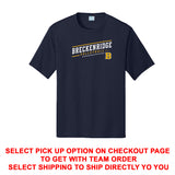 Design 2 - Breckenridge Volleyball - All Shirt Options